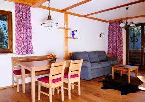 tschaneck- living room - hotel hutter